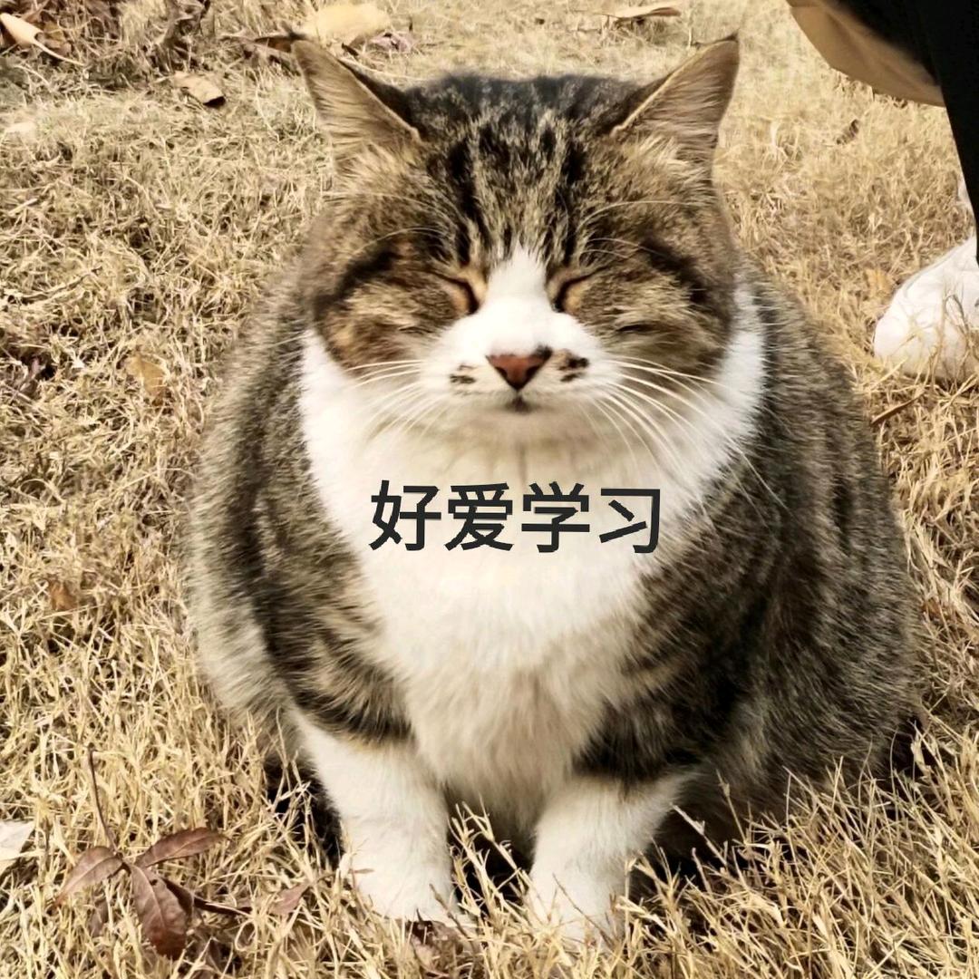 少吃碗饭