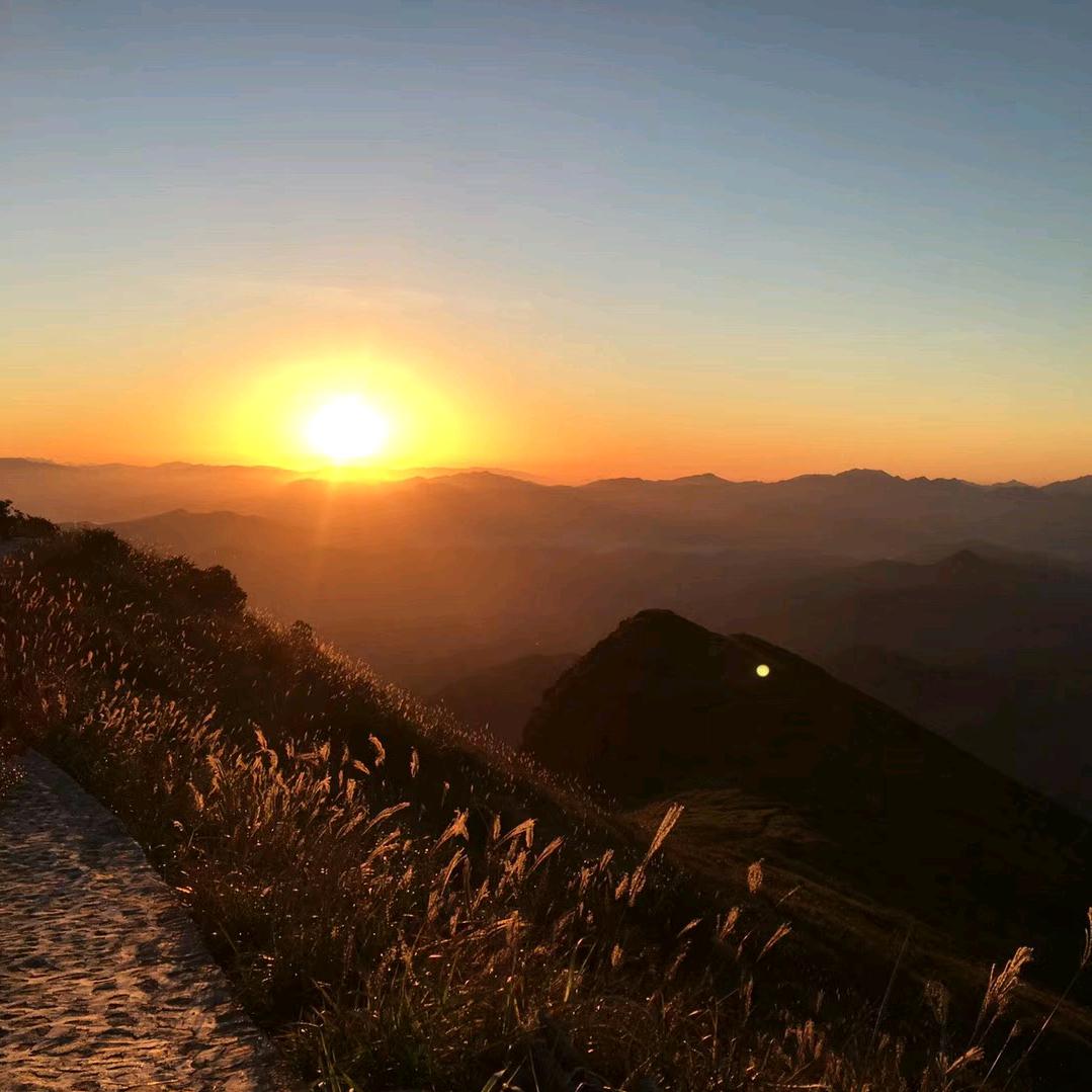 徐肥古是潜力股🔥