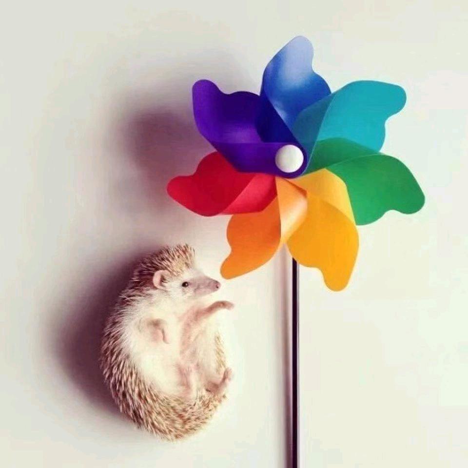 良久