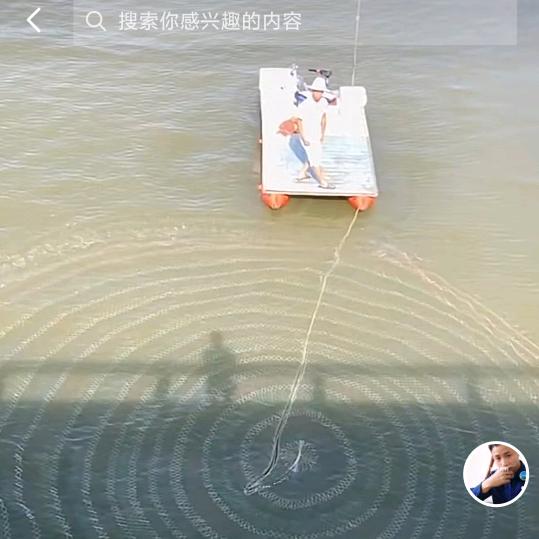 渔乐野生鱼