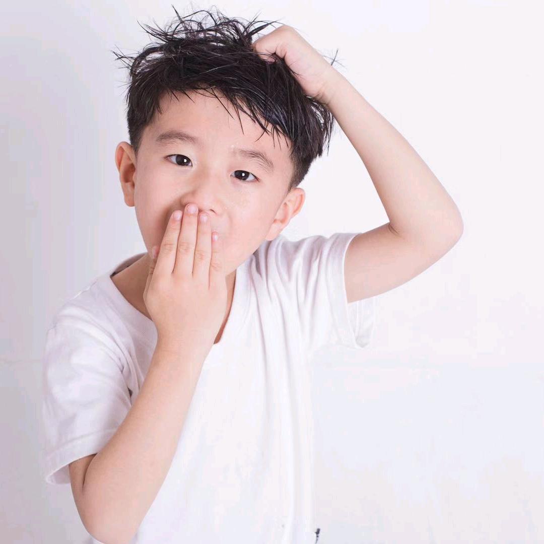 迪诺