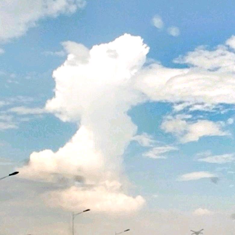 可能  ┗(＾0＾)┓ 🃏