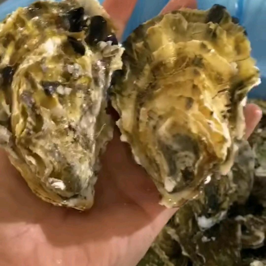 懂你