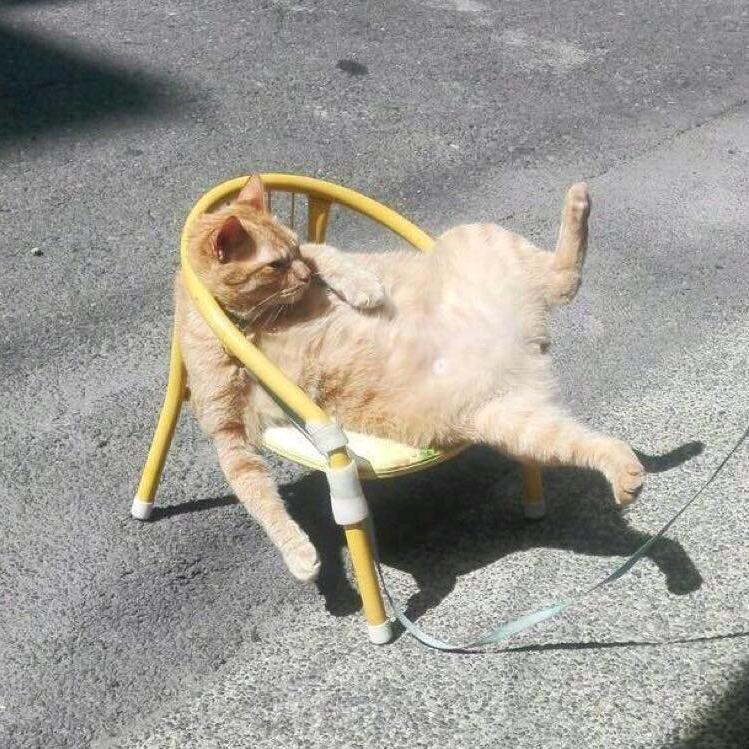我本以为