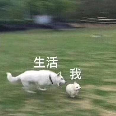 小萝卜头