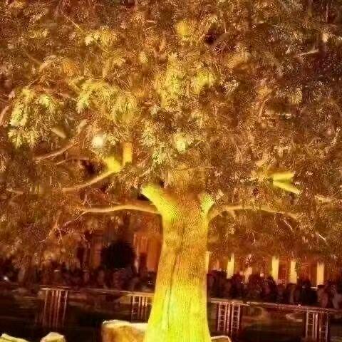 喜洋洋