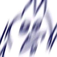 XXXY