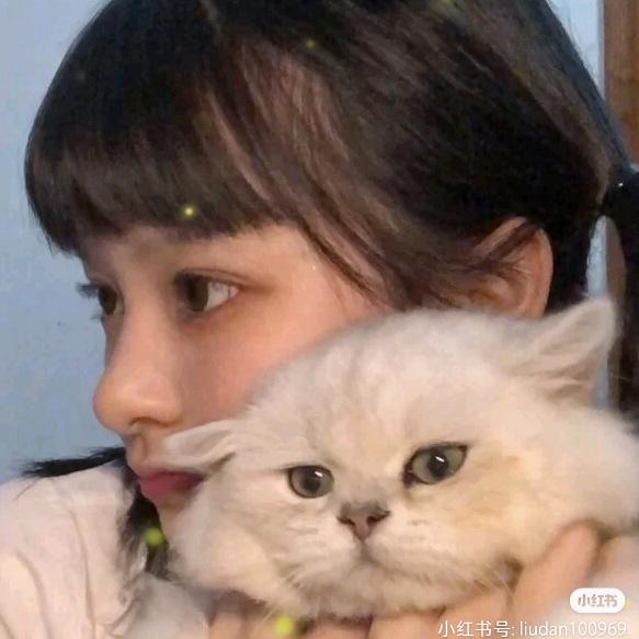 甜豆