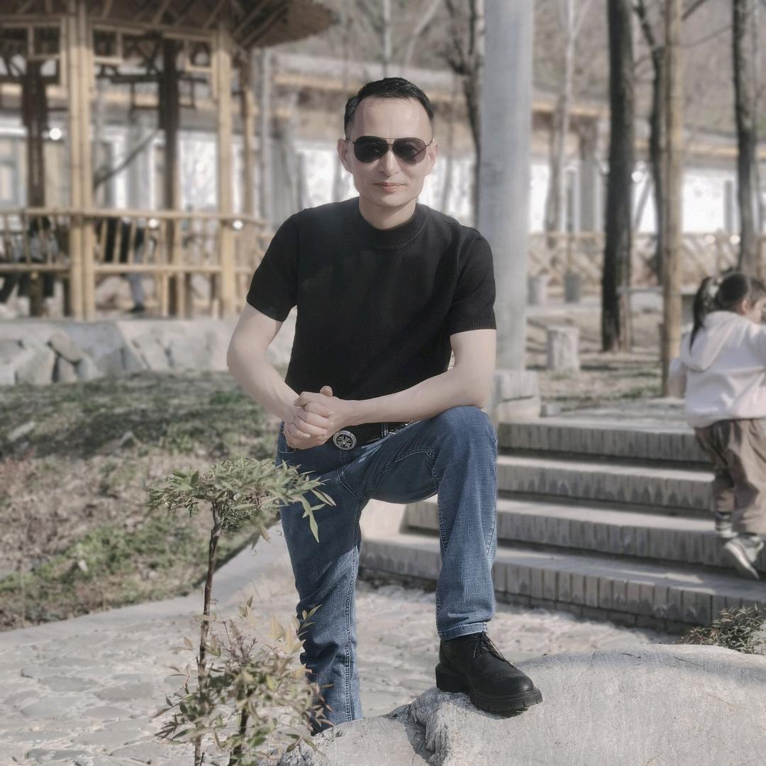 不老松