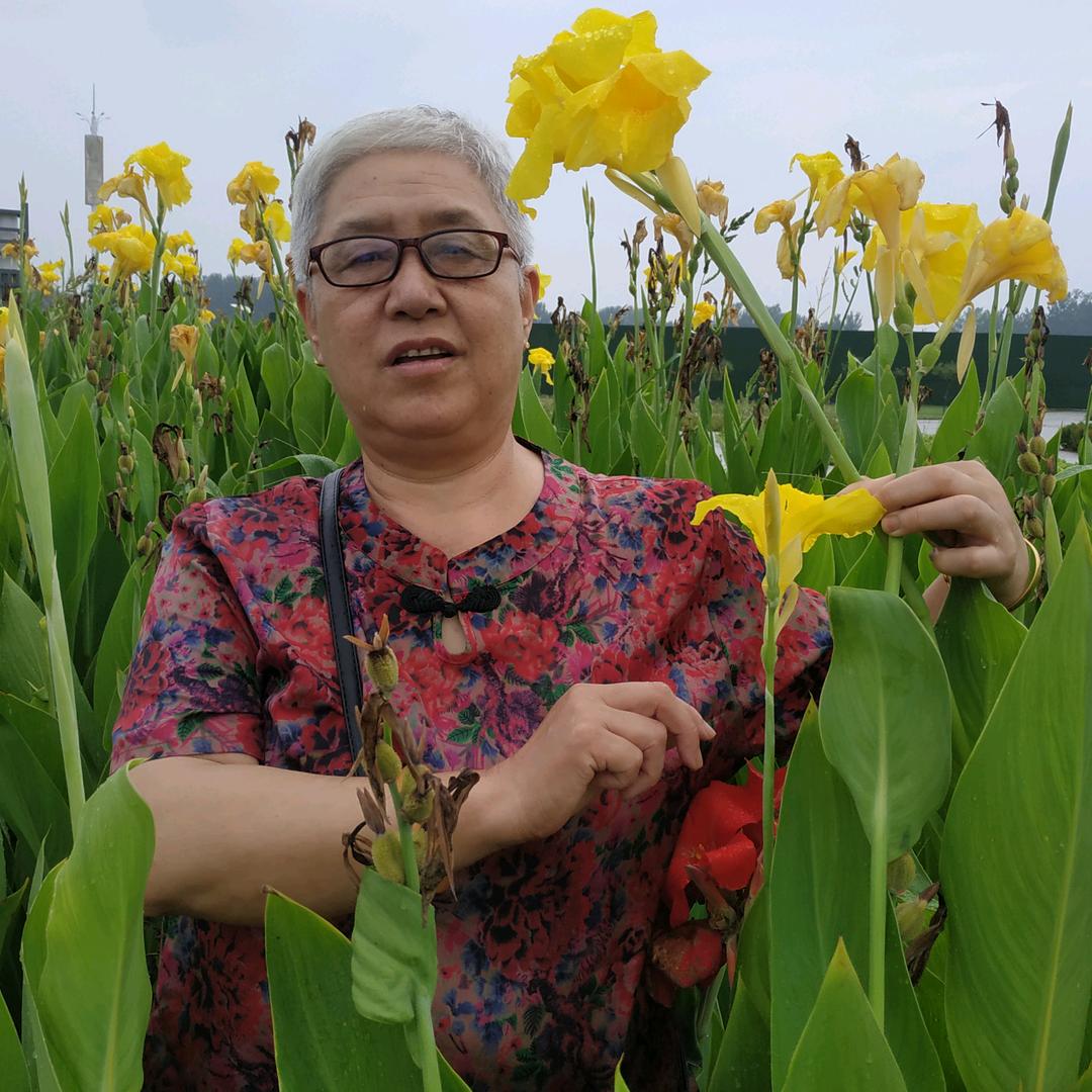 马大姐(拒绝私信)回族