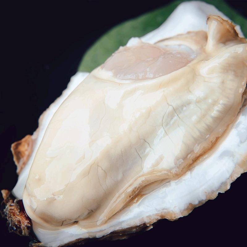 威海高哥37度百珍乳山生蚝