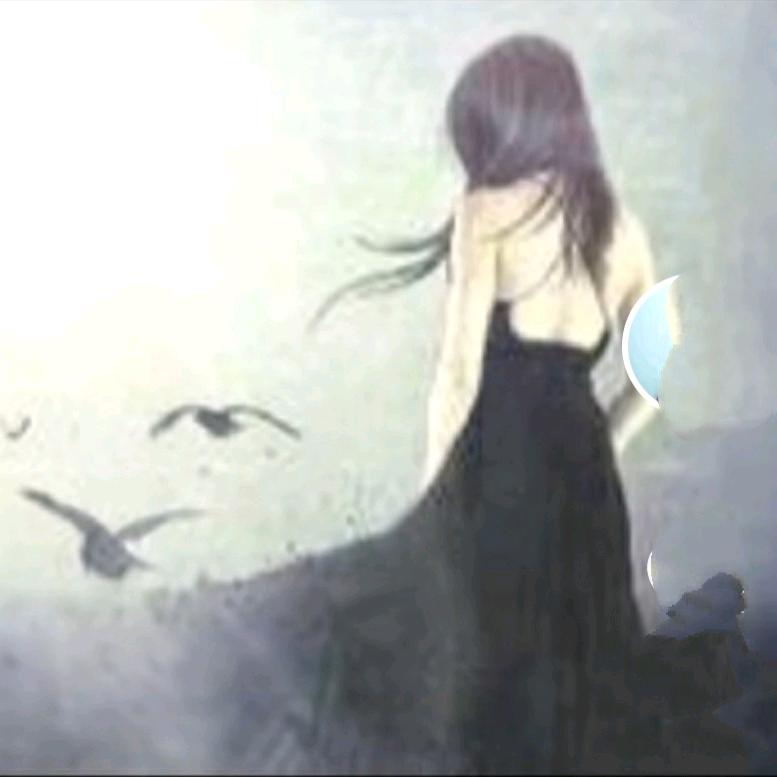 夜&雨