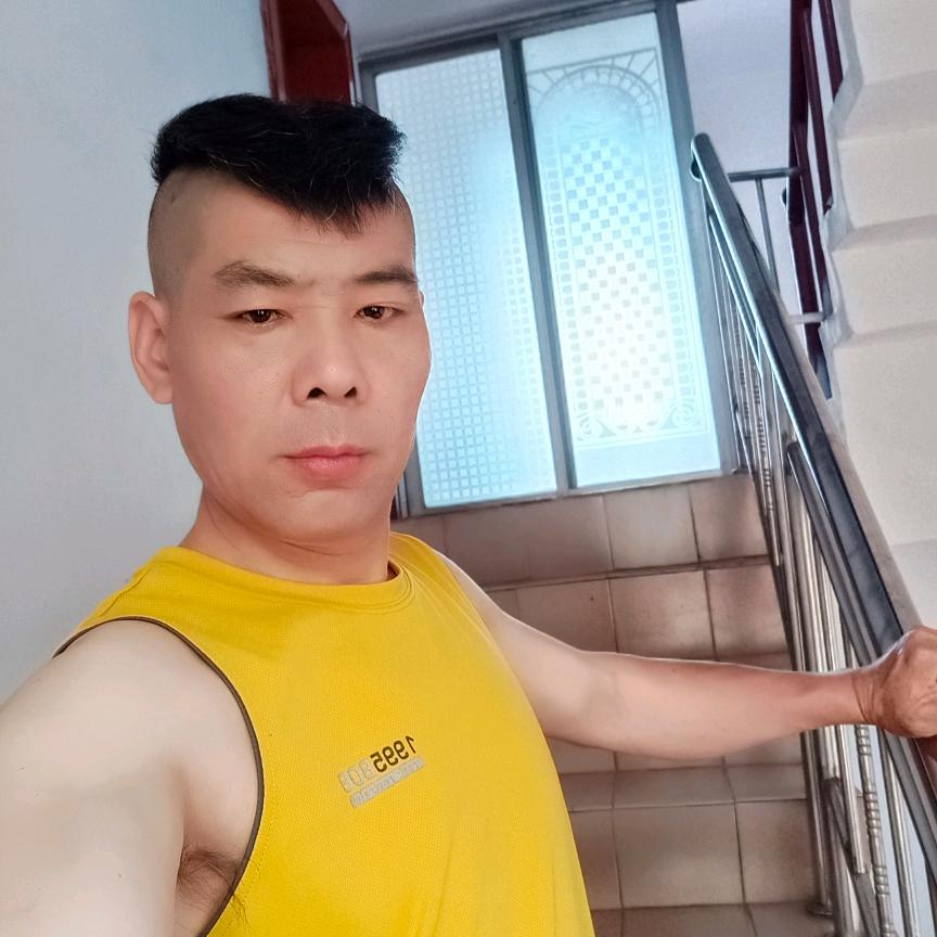 猫歌(音乐)