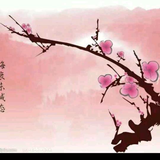 红梅