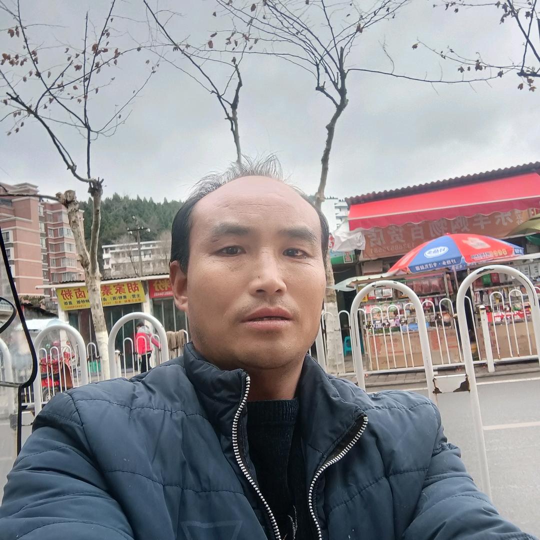 杨林
