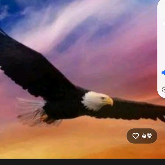 博阳水产