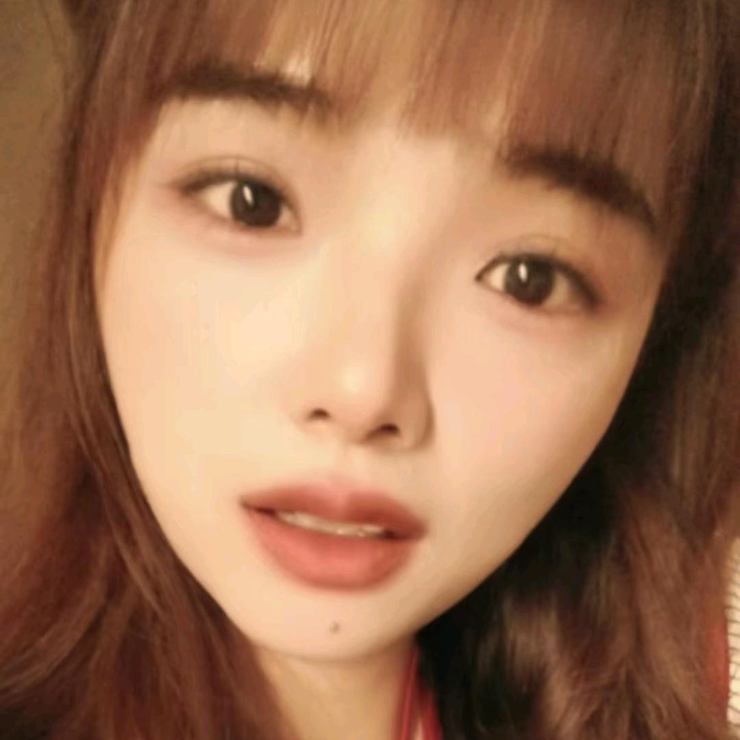 阿狸狸
