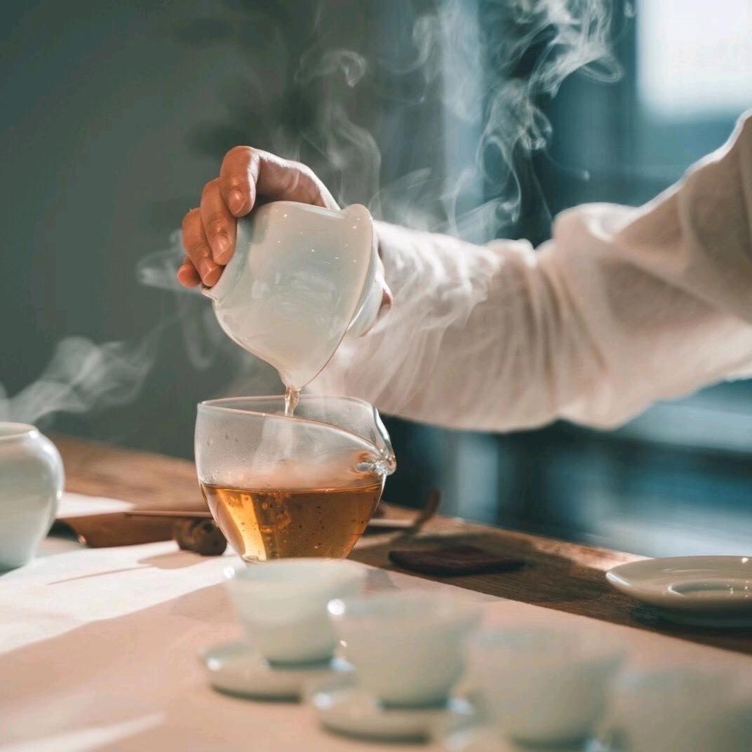 天丰茶业