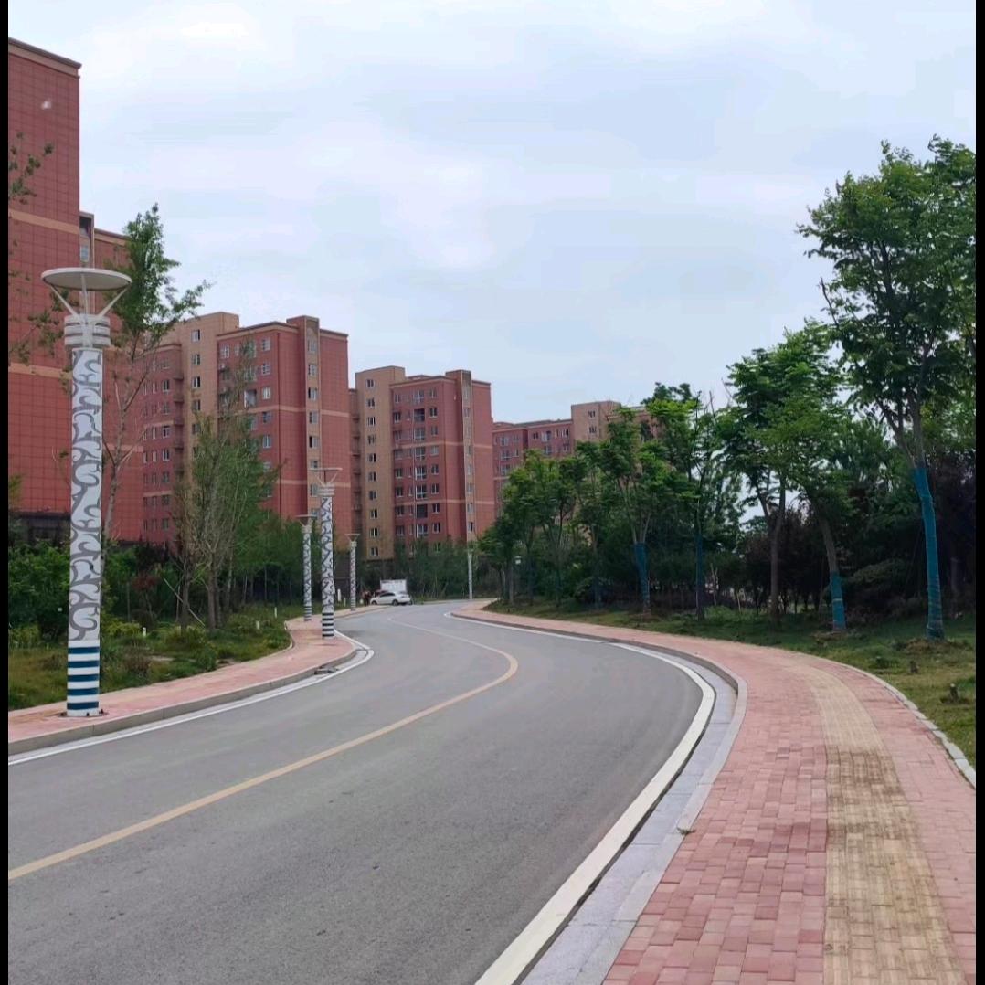 未来日怎么过