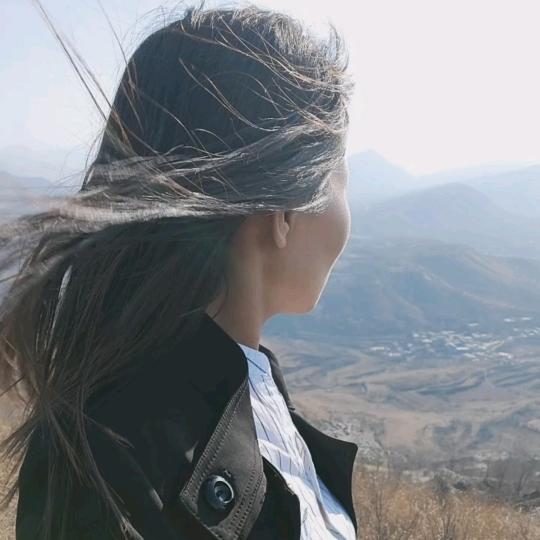 念念文雪