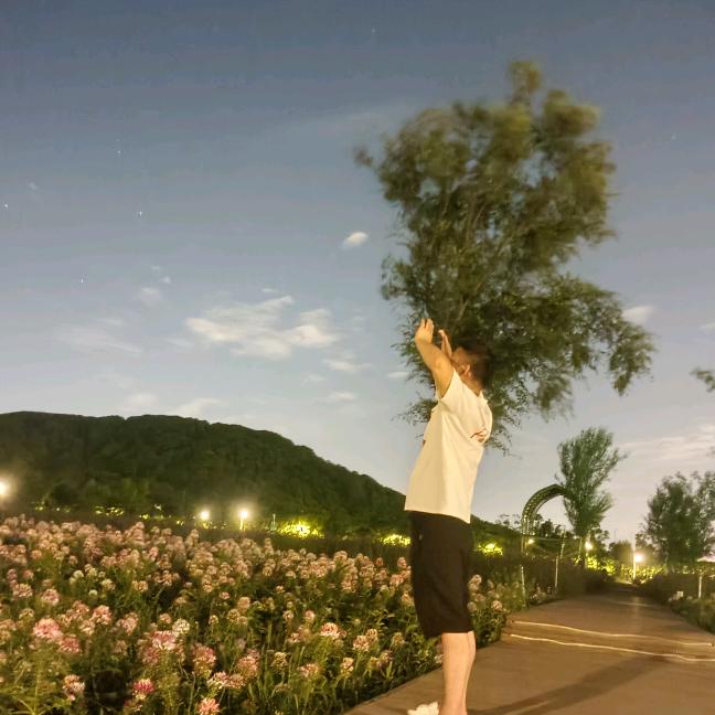 飞鸟二手设备贸易