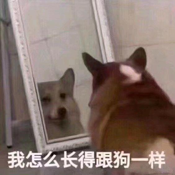 临霜