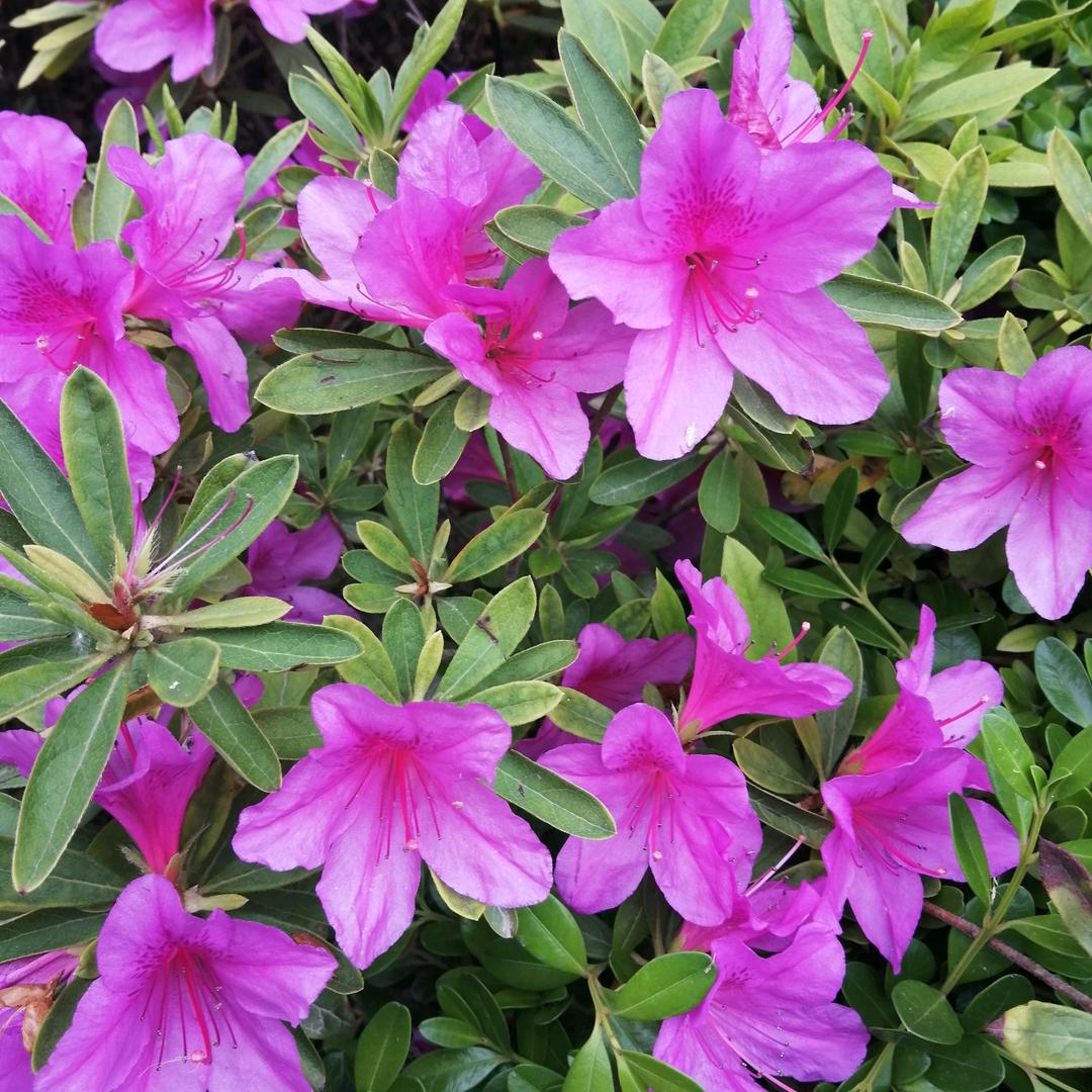 要自己开心就好