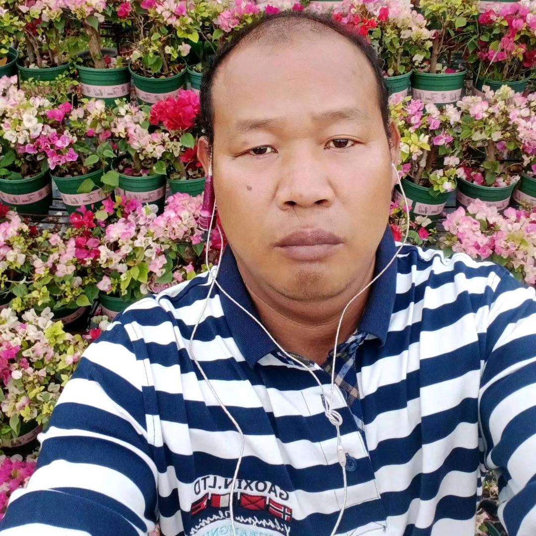 龙哥