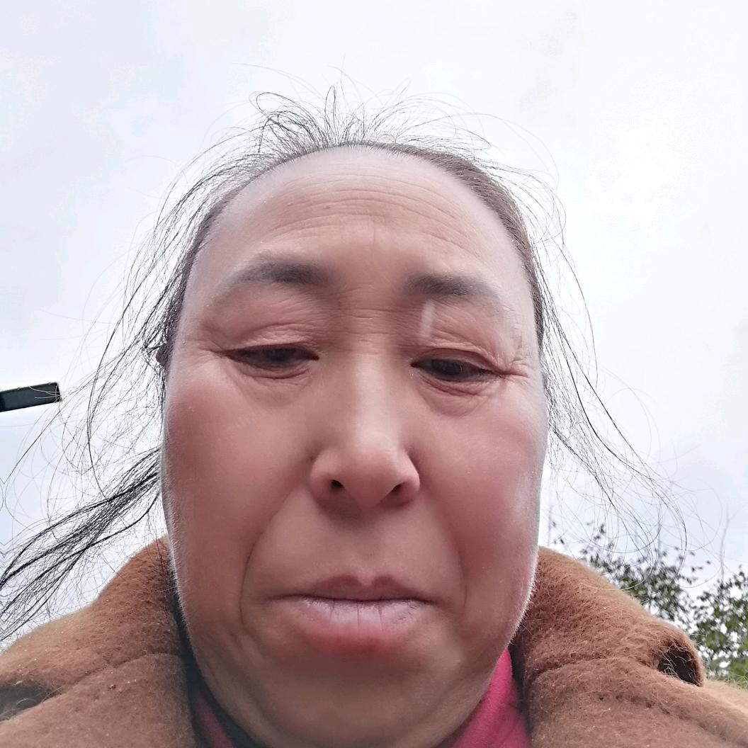 何二姐