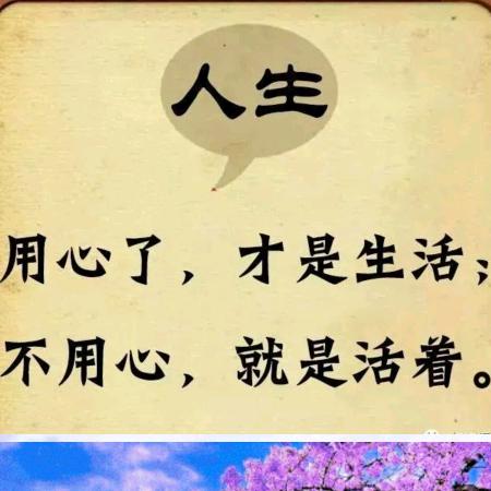 时光美女