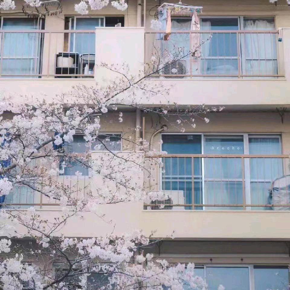幸福人生1111111111111