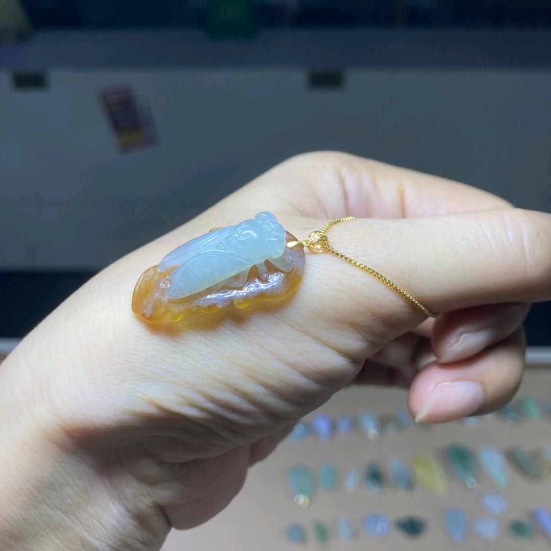 王家玉缘人