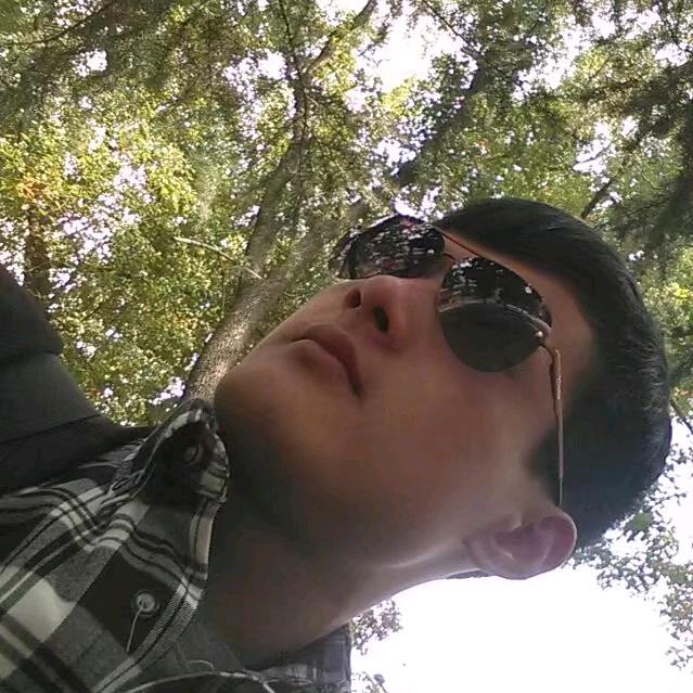 大枫车、孝感的哥