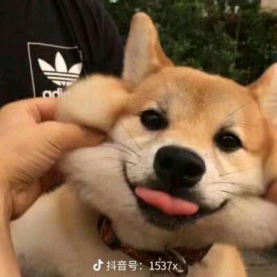 日落