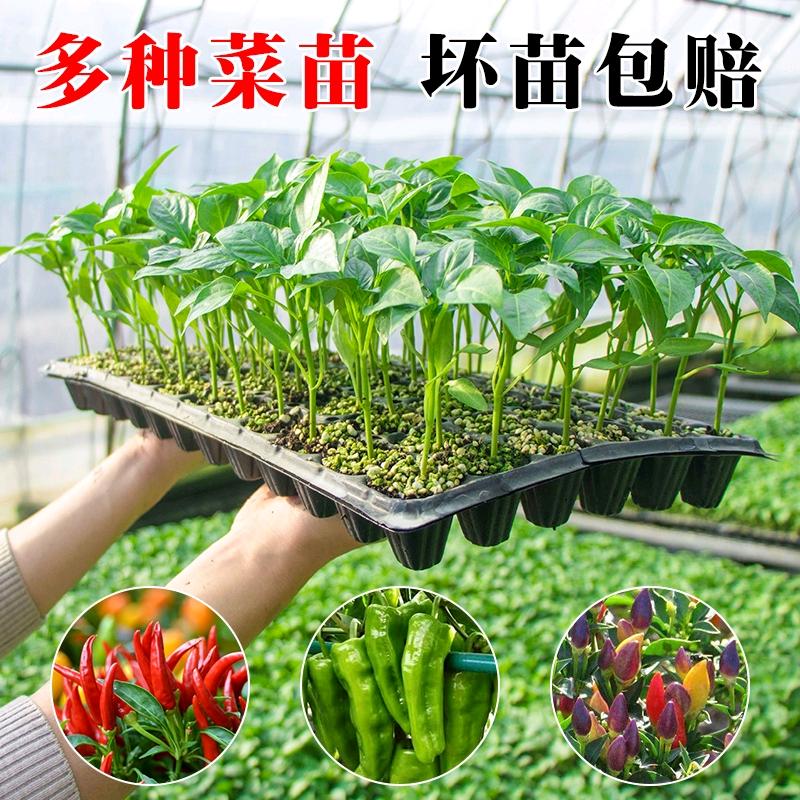 果蔬农家企业