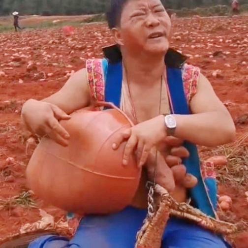 老潘大洋芋