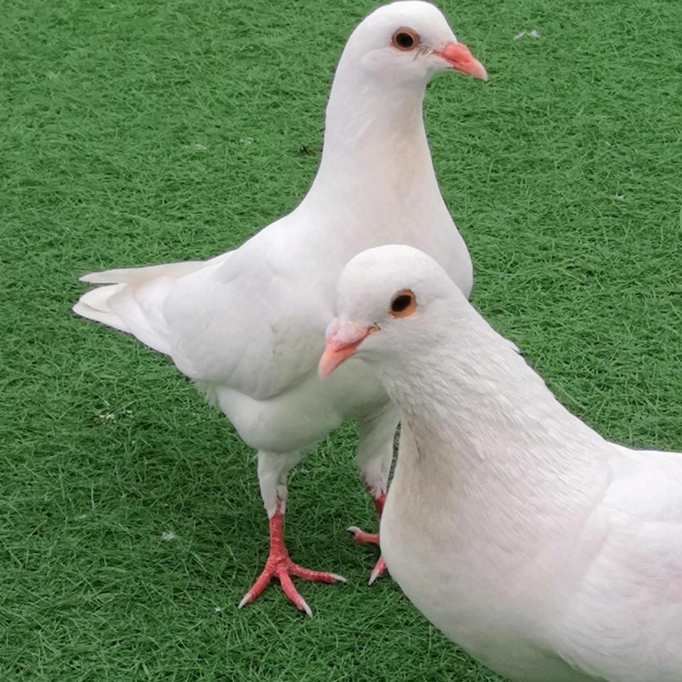 恒艺装饰