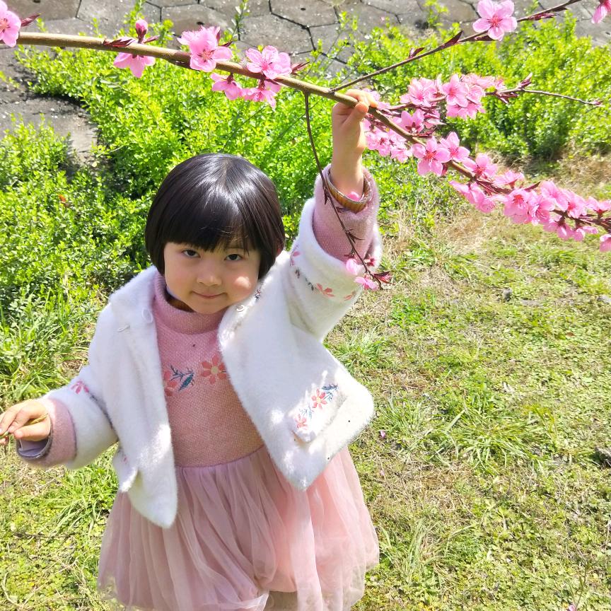 名锋百货（413）