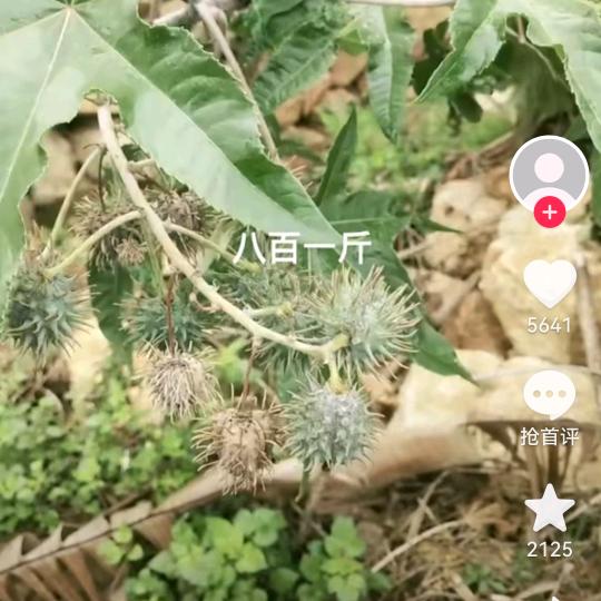 手机用户59884237009
