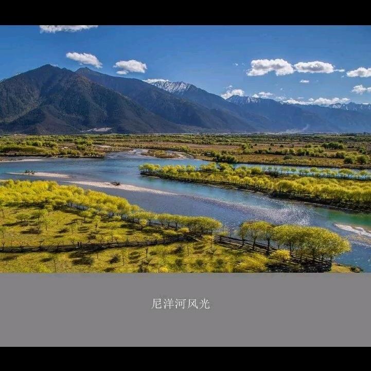 大名空气能 -银婷