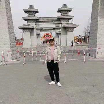 河南李哥