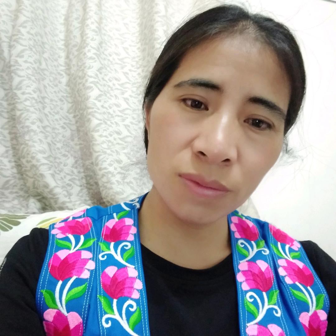 开心每一天‘兰’