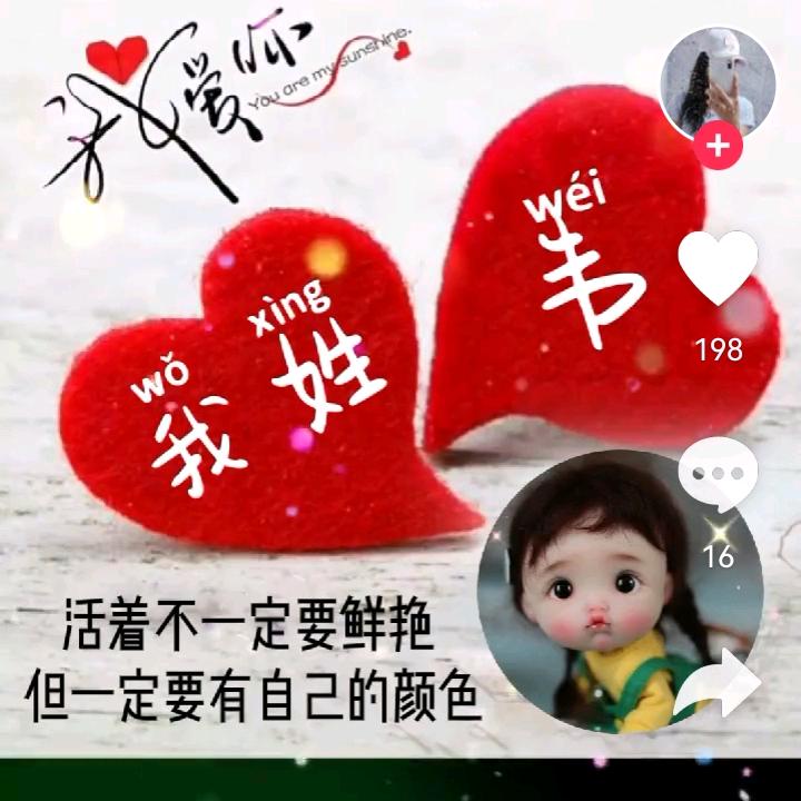 韦传珍