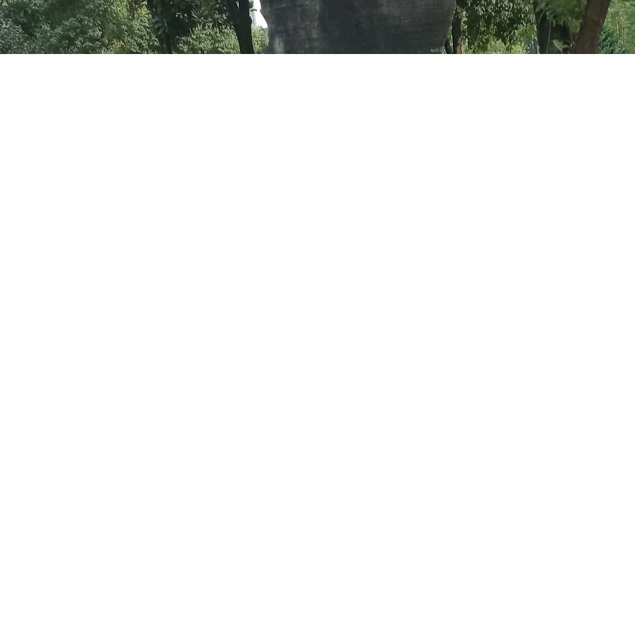 hggjvg