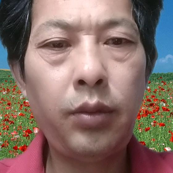 :苍天的爱: