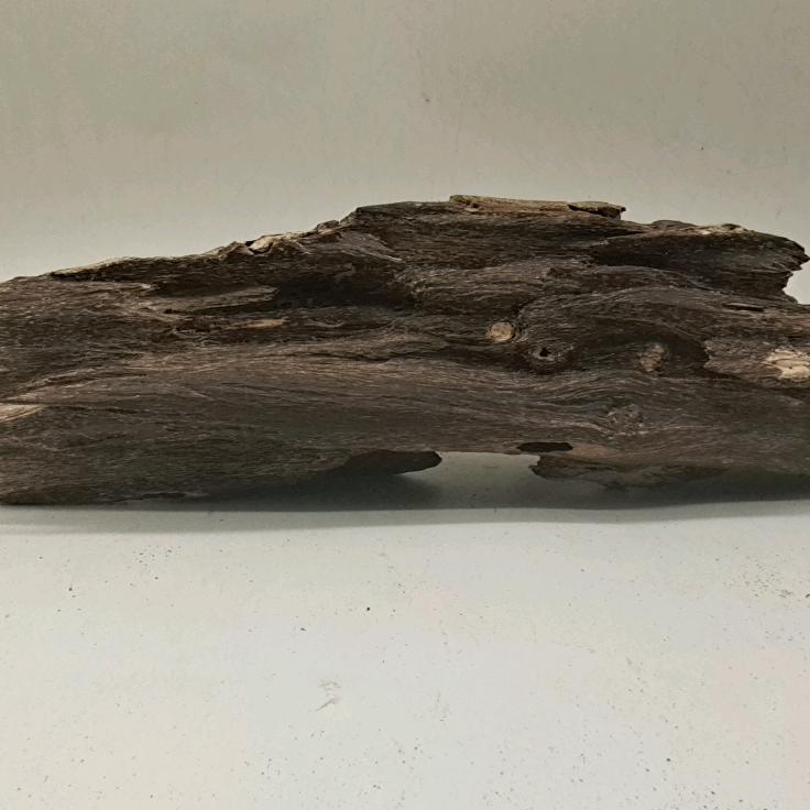 🕊꧔ꦿ᭄臻香缘꧔ꦿ࿐้