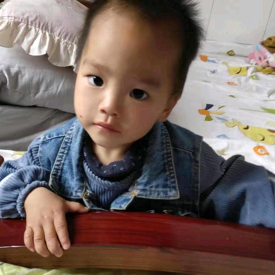 章鱼哥