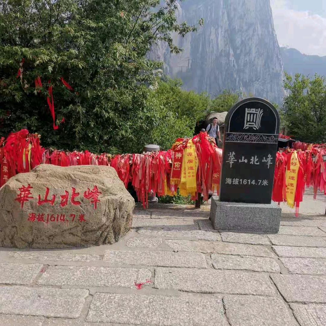 小顽皮
