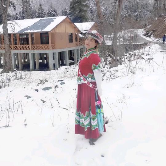 六区花花