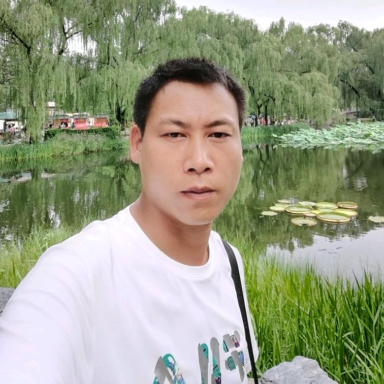 前途辉黄